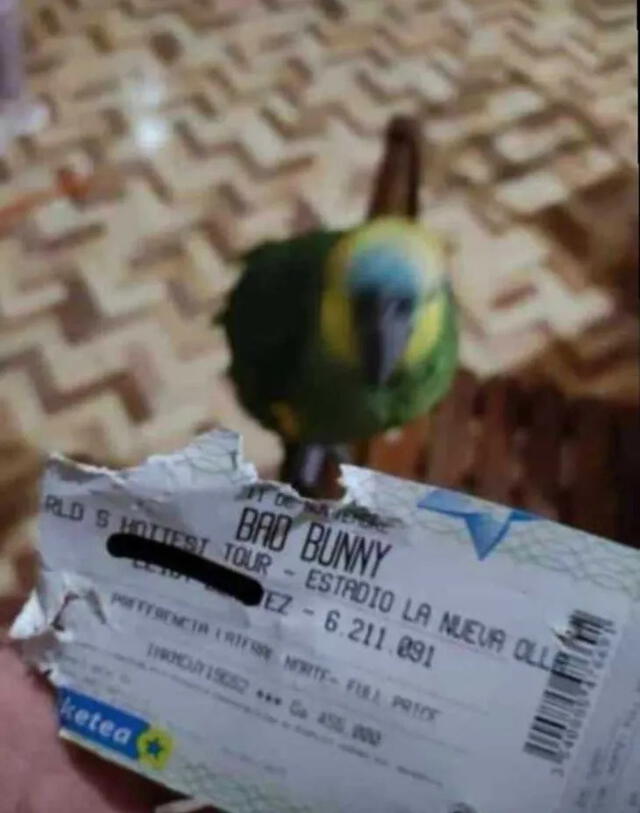 elpopular.pe elpopular.pe